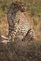 WT 1400 200-25 Kenya